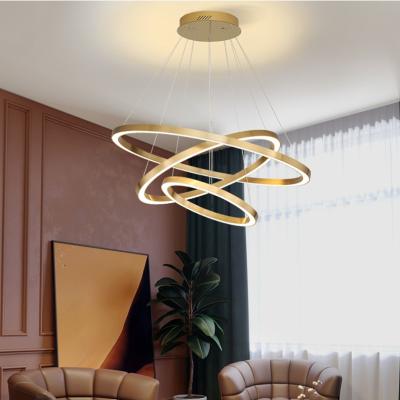 China New Arrival Modern Art Design Indoor Decorative Droplight Lamp Fixture Iron Acrylic Pendant Light for sale