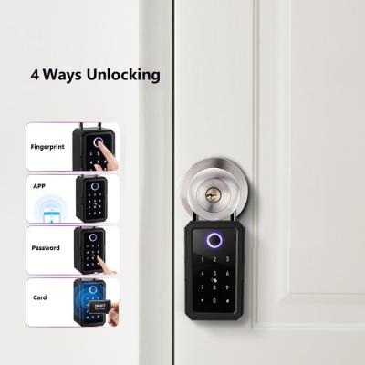 China Outdoor Wall Mounted Waterproof Fingerprint Wall Mounted Waterproof Smart Tuya/TTlock APP Locstar Strong Code Tooth Protector Lock Key Blue Box LS-KB-89 for sale