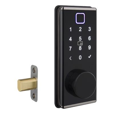 China Home Office Hotel Apartments Locstar Entrance Deadbolt Mortise Keyless Door Latch With Keypad Fingerprint Door Smart Door Lock for sale