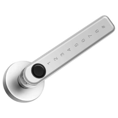 China Bedroom door/Locstar biometric latch fingerprint handle lock interior single password card interior electronic door bedroom card password door for sale