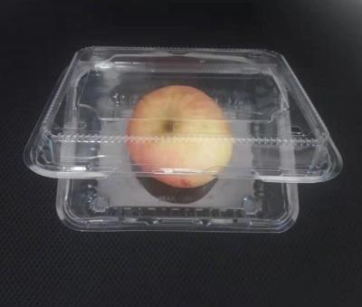 China High Quality Food Fruit Packing Tray for sale