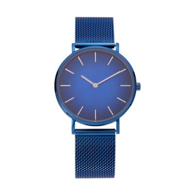 China 2021 latest model wholesale fancy IP plating blue metal band watches for women for sale