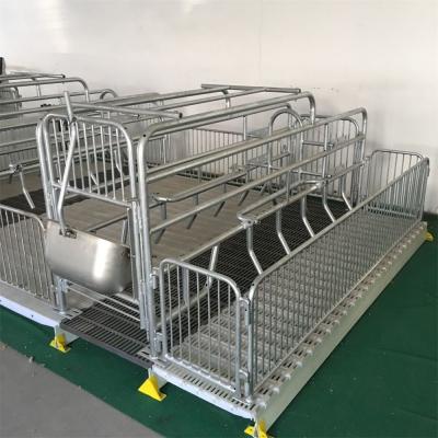 China Farms Customized Steel Pig Pen Design Equipment For Farrowing EU Market for sale