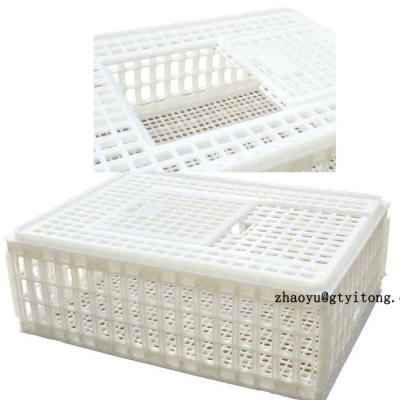 China Poultry Farm Chicken Poultry Or Feeding High Quality Chicken White Plastic Transport Box for sale