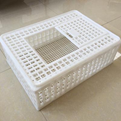 China Easily Clean Plastic Foldable Transport Cages For Poultry Chicken for sale