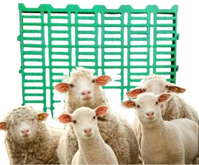 China Farms Goat Shed Plastic Flooring For Sheep Farm Goat Farm Equipment for sale