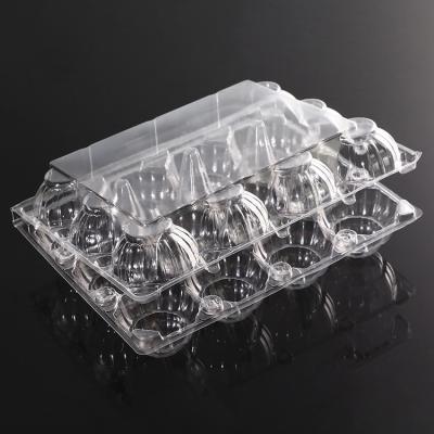 China Professional Disposable Food Grade 12 Holes Design Biodegradable Top Selling Plastic Food Containers With Lids for sale