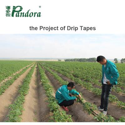 China High Efficient Pandora High Quality Best Price 16mm Agriculture Irrigation Hose Drip Pipe With Flat Emitter Inside for sale