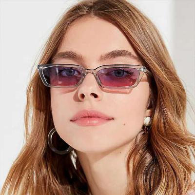 China Fram Leopard Cat Eye Sunglasses Cute Shade Women Sunglass Celebrity Fashion Sunglasses Small Retro for sale