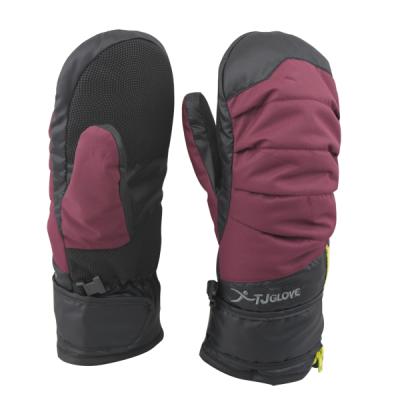 China Custom Waterpoof Winter Warm Keeping Waterproof Windproof Adult Ski Mittens Te koop