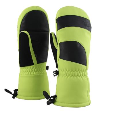 China Men's and Women's 100 Gram Waterproof Thinsulate Ski Mittens and Gloves for sale