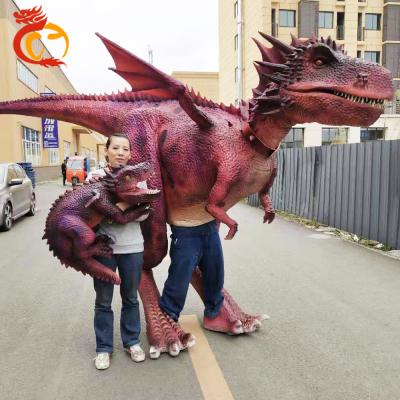 China Professional Custom Made Life Size Realistic Zigong Walk Dinosaur Demonstration Costume CY-DC-1 for sale