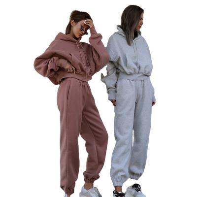 China Factory Supply Anti-wrinkle Hs2003 Hot Sales Autumn&winter Long Thick Joggers Women's Hoodies Set for sale