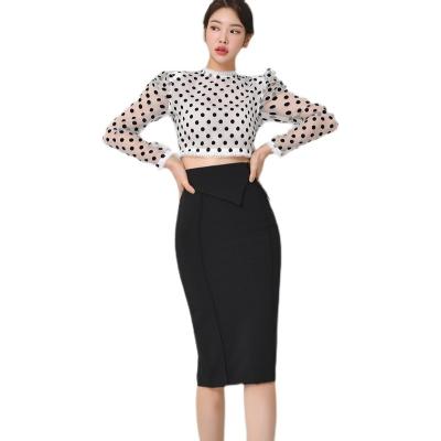 China 2022 spring gauze perspective anti-static thin polka dot waistless fashion sexy two-piece skirt for sale