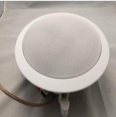 China Sound 2.0 Channel Wireless Ceiling Mount Speaker Portable WIFI Speaker System for sale