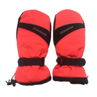 China Ski Gloves Men Women Winter Skating Riding Gloves Touch Screen Waterproof Breathable Warm Skiing Snowboarding for sale