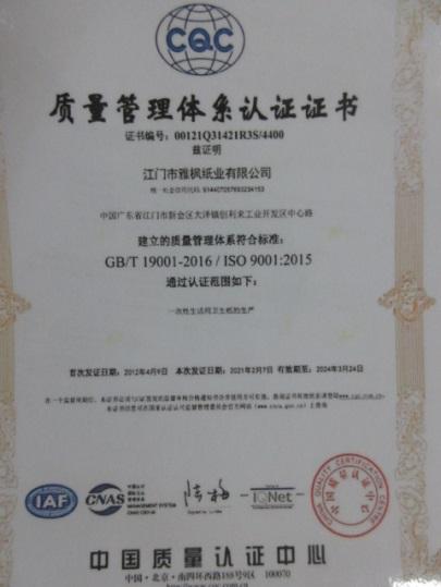 ISO9001 - Yafeng Paper Industry Co., Ltd.