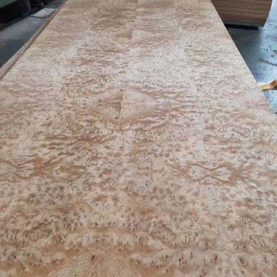 China 8 pulgadas Exotic veneer de madera dura, carillas de madera, carillas de madera en venta