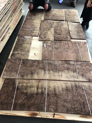 China 8% Moisture American Black Walnut Veneer for sale