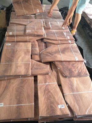 China La rebanada de madera exótica de la madera dura de la chapa de la decoración de lujo cortó 0.5m m en venta