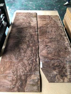 China Juglans Walnut Burl Wood Veneer MDF Rotary Cut Apply To Door Leaf for sale