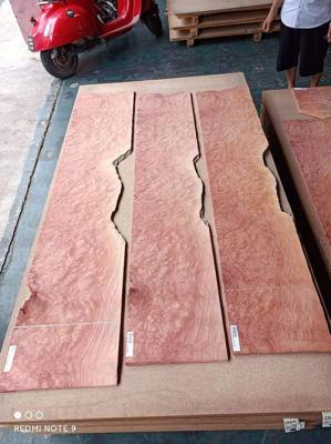 China Binnenlandse Deurcalifornische sequoia Burl Veneer 200mm Roterend Besnoeiings Houten Vernisje Te koop