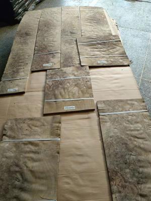 China Rebanada/grueso cortado rotatorio de Burl Veneer With Sap 0.50M M de la nuez en venta