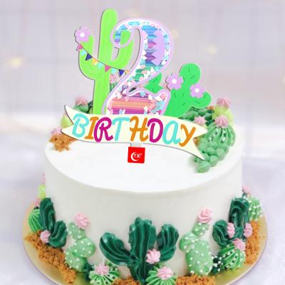 China TX ACRYLIC cute cactus with flowers pattern Moving Acrylic 2nd Birthday Cake Topper For Kids Party Decorations supplier for sale