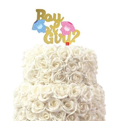 China TX Equipment Baking Bees Him or Her Acrylic Cake Topper For Baby Shower Boy or Girl Gender Reveal, 1st Birthday Party Decoration Supplier for sale