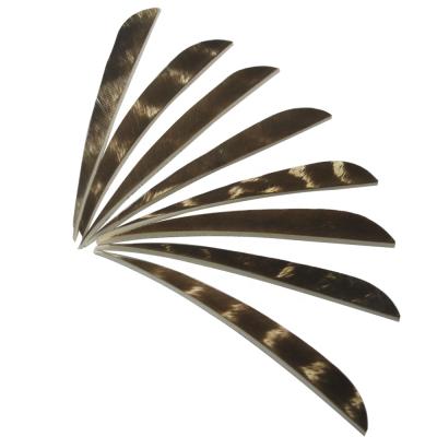 China Aerodynamic hunting archery stripe color shape real natural color turkey feather for sale