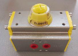 China DOBRO (A DINAMARCA) ÚNICO (SA) ACTIONNEURS DE ATUAÇÃO DE ATUAÇÃO PNEUMATIQUE DE ATTUATORI PNEUMATICI ROTANTI à venda