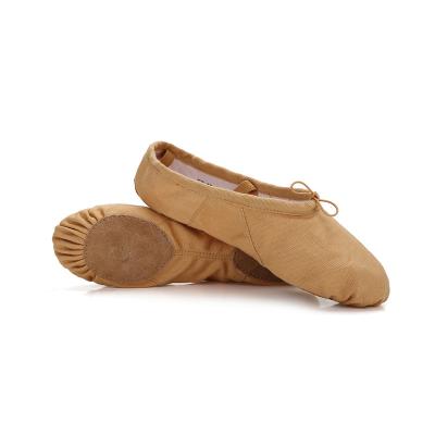 China Wholesale Shoes Dttrol New Good Quality Professional Design Dancer Style Canvas Soft Single Classic Ballet Shoes Split Sole For Ladies Dance Shoes for sale