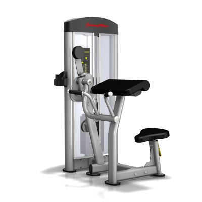 China Commercial Use Fitness Equipment Biceps Curl With Weight Stack for sale