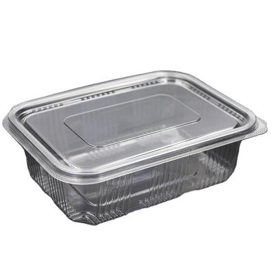 China China Supplier 750ML PET Wholesale Transparent Disposable Rectangular Flip Plastic Food Packaging Take Out Containers for sale