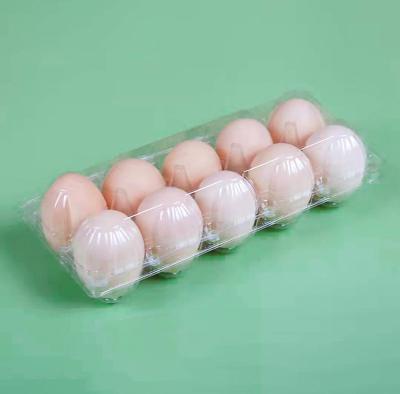 China Disposable Wholesale 10 Holes PET Plastic Type Disposable Plastic Egg Packing Tray for sale