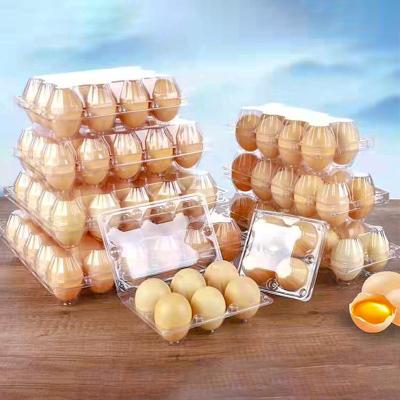 China Good Selling Disposable Clear Plastic Clamshell Packaging Egg Boxes Container for sale