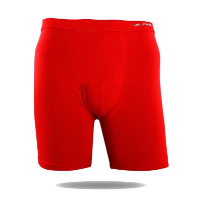 China Customized 95% 5% Mens Bamboo Spandex Boxer Briefs Antibacterial for sale