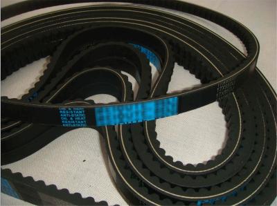 China Auto v belt  fan belt vee belt OEM	5000988950/9933201170/967144/AVX13X1075 COGGED V BELT  Ramelman timing belt for sale