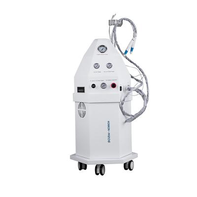 China Portable Water Oxygen Therapy Acne Treatment Hyperbaric Oxygen Facial Machine For Sale for sale