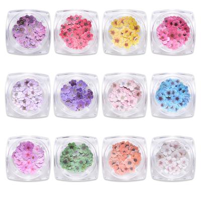 China Wood Chips 12 Styles DIY Wood Pulp Ultra-thin Five-petal Flower Plum 3D Flower Flowers Charms Slices Decals Spring for sale