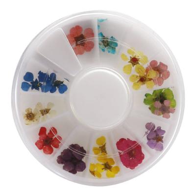 China Natural Flower 24 Pcs Fake Dried Flowers Real Dry Decoration For Nail Stickers Decals for sale