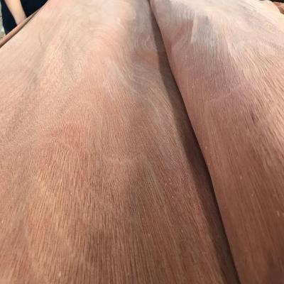 China Modern Natural Rotary Cut BNG Red Veneers For 4*8 Furniture for sale