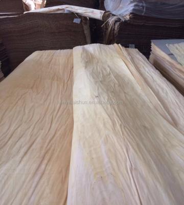 China Natural Rotary Cut Plywood Birch Veneer 0.30mm Russia White Birch Wood Face Veneer Plywood Faces for sale