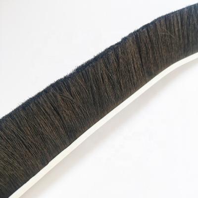 China PP Nylon Bristle Door Strip Brush Cleaning Plastic Support Flexible Aluminum Seal for sale