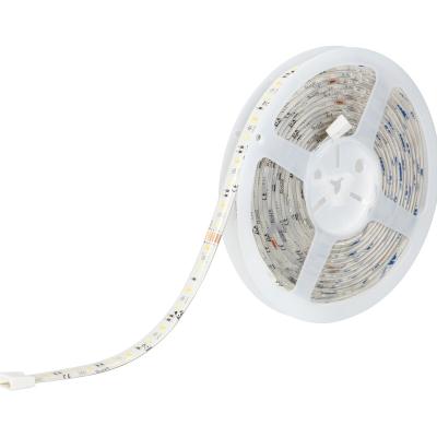 China smd2835 5050 rgb alexa residential wifi cct led strip lights google voice control 5050 2835 led strip wifi rgb60-24keys per ip65 for sale