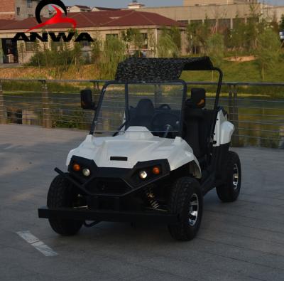 China Electric ATV UTV Fully Enclosed Adult Buggy 10inch Two Seater Electric Range for sale