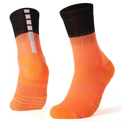 China Polyester Sublimation QUICK DRY QUICK DRY Nylon Training Hoops Mens Athletic Sports Basketball Custom Socks for sale