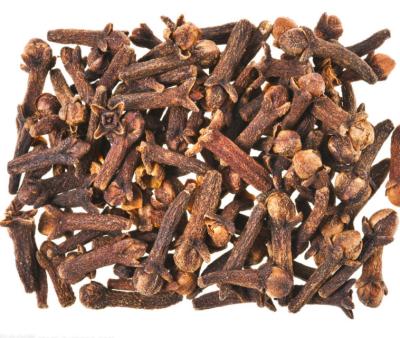 China China Factory Price Dry Color Promotional Seasoning Good Quality Natural Clove for sale