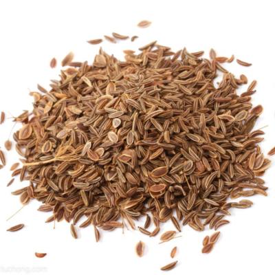 China Professional Manufacture China Factory Price Color Dry Seasoning Natural Dill Seed for sale