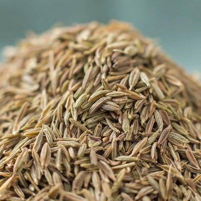 China Dried cumin seeds in Dubai for sale